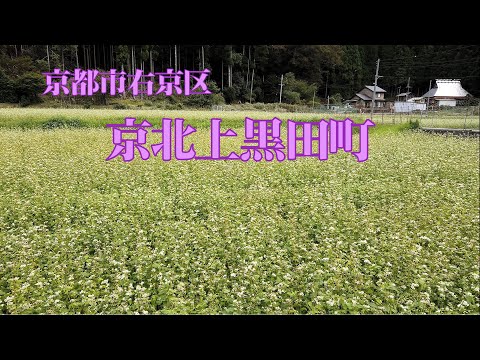 山里の長閑な風景　京北上黒田町～美しい川とソバ畑～