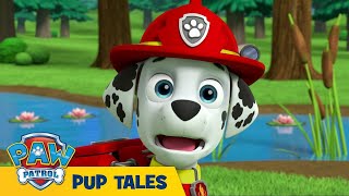 🔴 PAW Patrol 🔴 THE BEST RESCUE EPISODES! | 24/7 LIVE Cartoons for Kids