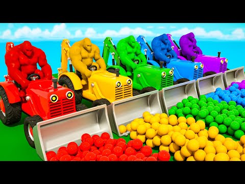 Baby Shark song - Multicolored balls and multicolored gorillas - Baby Nursery Rhymes & Kids Songs