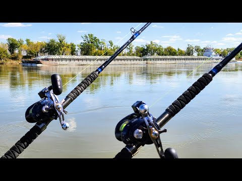 Little Kid Catches Fish Almost AS BIG AS HIM!! (Catch and Cook)