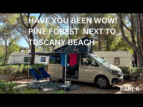 Amazing stay in Vw California Ocean Campervan at Tuscany Coast Pine forest Campsite next dog beach