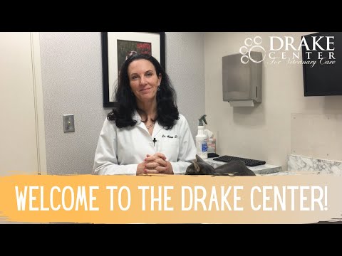 Welcome to The Drake Center!