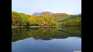 JG 4K HDR 青森 白神山地 十二湖の紅葉 Shirakami Juniko in Autumn,Aomori