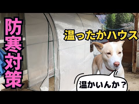 ハナちゃんハウスをビニールハウスで温かい空間にする