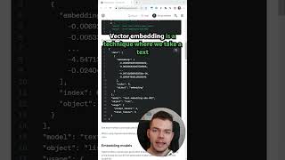What Are Vector Embeddings? 🤷‍♂️ #ai #aidevelopment #chatgpt #webdev #webdevelopment