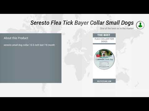 Seresto Flea Tick Bayer Collar Small Dogs