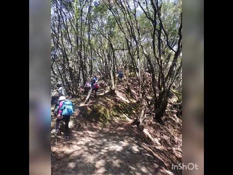 2023.3.19須磨アルプス 鉢伏山·旗振山·鉄枴山·おらが山(旧高倉山)·栂尾山·東山