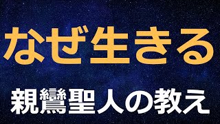 「そんなにしてまでなぜ生きる」親鸞聖人の答えとは【浄土真宗の教え】