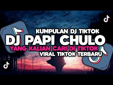 DJ CAMPURAN VIRAL TIKTOK 2024 TERBARU || DJ PAPI CHULO V2 YANG KALIAN CARI DI TIKTOK