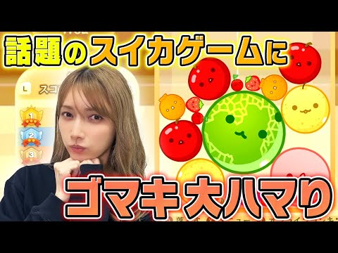 【スイカゲーム】ゴマキのデビュー戦でスイカ達成なるか！？