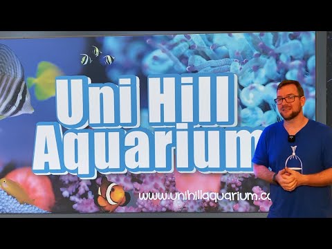 Uni Hill Aquarium Road Trip!