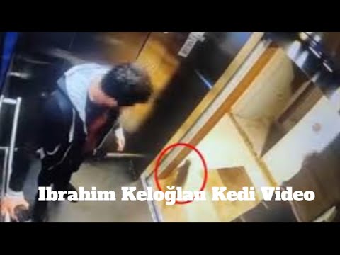 Watch Ibrahim Keloğlan Kedi Video