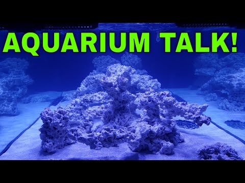 Aquarium Talk!