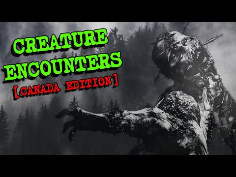 (3) Creepy Stories From Subscribers | CREATURE ENCOUNTERS [Canada Edition]