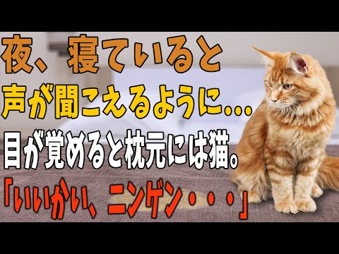 【猫の不思議な話】「いいかい、ニンゲン・・・」ある日から、寝ていると声が聞こえてくるようになった。目が覚めると枕元には必ず猫がいた…。「まさか…そんなわけないよねｗ」すると・・・【朗読】