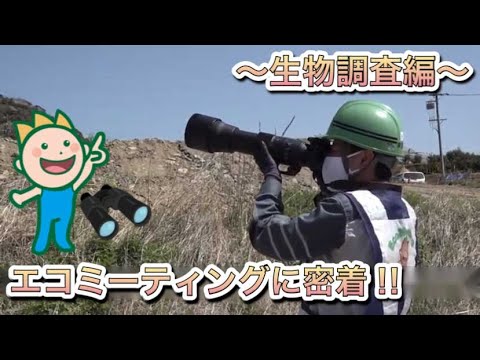 エコミーティングに密着！～生物調査編～