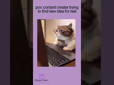 "Creator Struggles 🐾💻"#ContentCreatorProblems#ReelStruggles#CatVibes#FunnyCatMemes#ReelLife