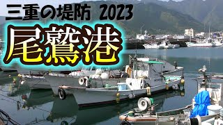 尾鷲港　そこは大物釣り師から堤防釣り初心者まで、幅広く楽しめる港です【三重の堤防釣りポイント　2023年 版】