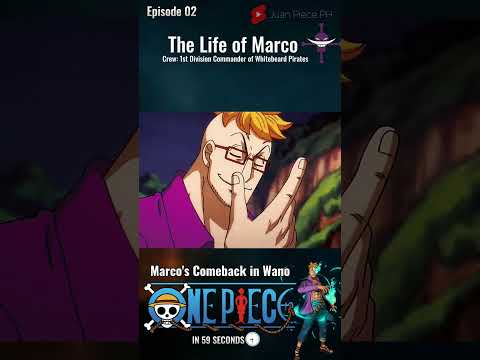 Marco | One Piece Characters in 59 Seconds.