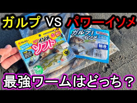 【ガルプVSパワーイソメ】の最強ワーム釣り対決がまさかの大激戦で楽しすぎる。