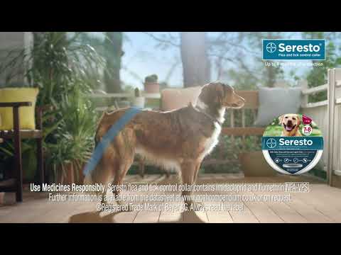 New Seresto® 8 Months Flea and Tick Collar for Cats and Dogs (Bayer)