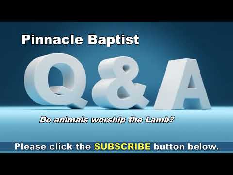 Q&A Do animals worship the Lamb