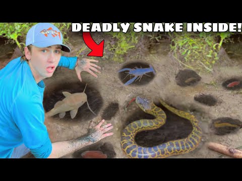 I Found a Mud Hole INFESTED with Deadly Snakes!