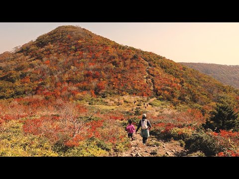 池ノ段・立烏帽子山🍁紅葉ハイク