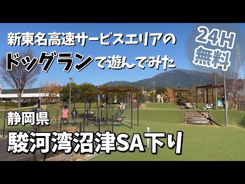 【駿河湾沼津SA下り】必見！新東名高速下りの隠れた名所！無料なのに満足度抜群！究極のドッグラン体験記