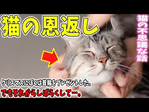 【猫の不思議な話】猫の恩返し。【朗読】