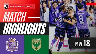 Sotiriou Scores a Brace! | Sanfrecce Hiroshima 4-1 Tokyo Verdy | 2024 J1 LEAGUE HIGHLIGHTS | MW 18