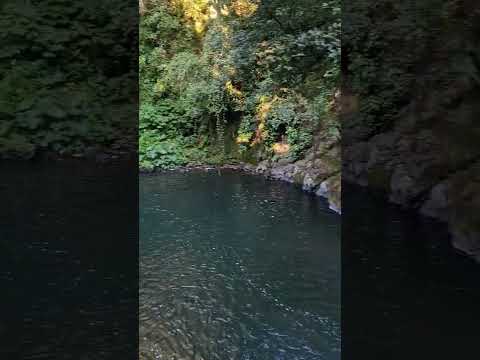 La Presa de Los Castro en el Río Naolinco