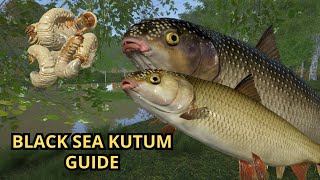 Russian Fishing 4 - Seversky Donets River. BEST GUIDE TO FISHING BLACK SEA KUTUM TROPHY !