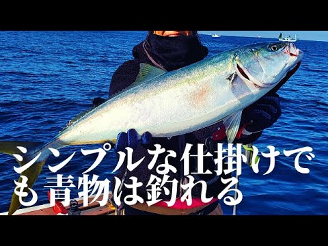 完全フカセ釣りでワラサを狙う【東京湾】【青物】【釣り】