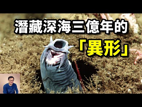 蜜獾同款神技，三億年未曾演化，世界上最會玩粘液的動物——盲鰻【老肉雜談】#動物 #海洋 #盲鰻 #海洋生物 #海鮮