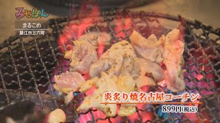 三六酒場　まるこめ／福井県鯖江市【丹南のお店情報番組 みせばん】