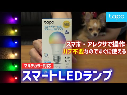 【監視カメラでお気に入りのtapo製】スマホで操作出来るスマートLEDランプ買ってみた【家に居なくても点灯＆消灯可能｜TP-Link  Tapo  L530E/A】