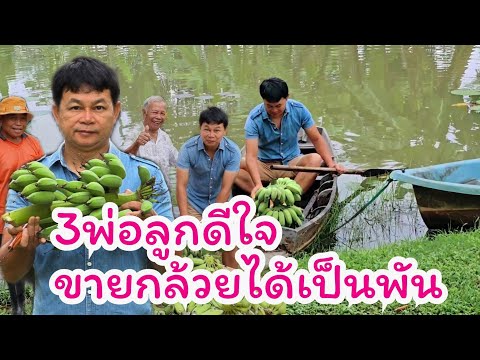 กำภูดีใจ ทำสวนจนขายกล้วยได้แล้ว #บเานสวนกำภูEP1178