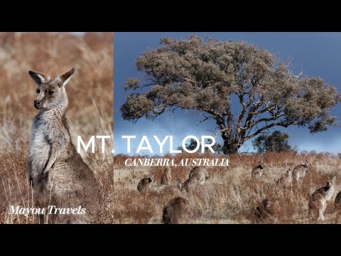 I Climbed Mt. Taylor in Canberra, Australia