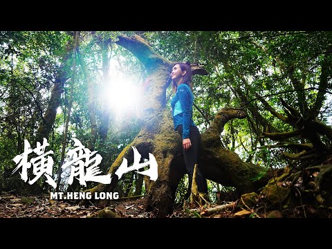 水雲三星之飛龍在天！麒麟、飛龍木鎮守"橫龍山" 再踏雲霧登"騰龍山"遙望加里山 沿路楓紅美不勝收！