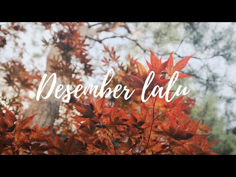 Desember lalu - Near & Chelz (Lyric Video)