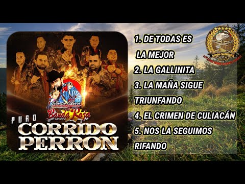 CD PURO CORRIDO PERRON / JOSECITO LEON Y SU INTERNACIONAL BANDA ROJA / ALBUM 2021