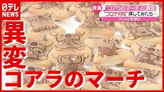 【話題】コロナ禍で異変…「コアラのマーチ」新絵柄とは？