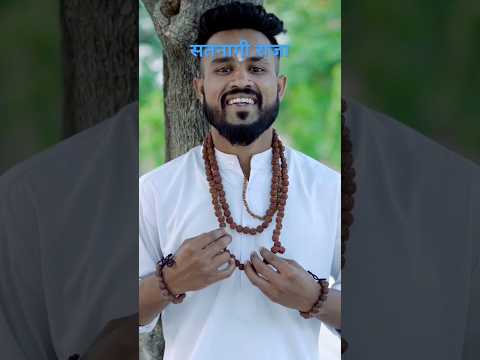 Satnami Raja  #cgsong #song #music