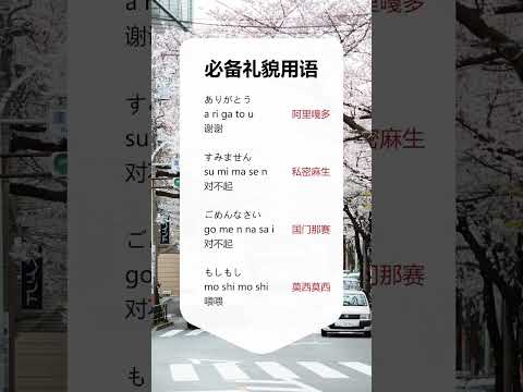 第308集 | #日语 #日语零基础学日语 #学日语 在日本最实用的四句礼貌用语！！ #shorts