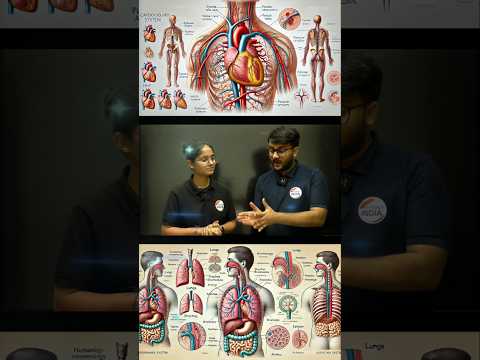 🩻Study Of Different Human Anatomy 🩻#humanbiology #pharmacist