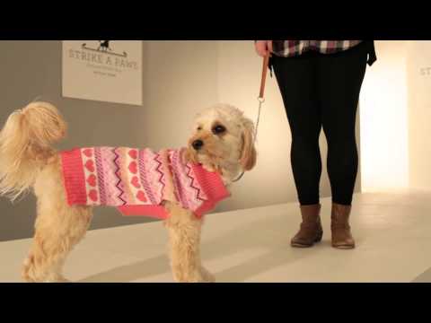 Strike-A-Paws 2014 - Wag-A-Tude Pink Coral Sweater