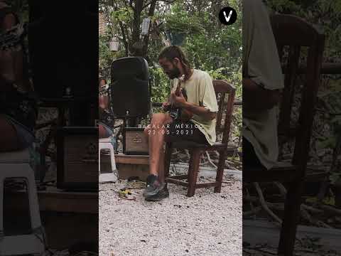 Tamal y Medio  | Patio Viviente - Live Session Bacalar, México