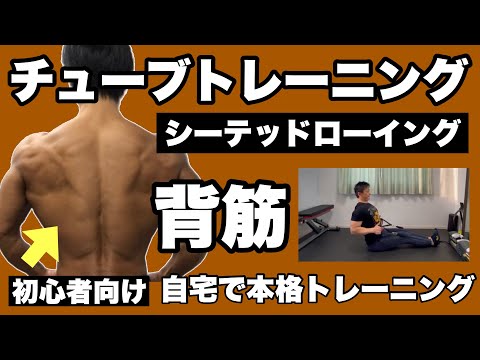 【背筋】逆三角形、ウエスト強調くびれ作りに！初心者向けチューブトレーニング