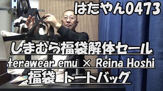 しまむら福袋２０２３　解体セール　デイリーユースにちょうど良いトートバッグがあった。しばらくはこのバッグを使う。